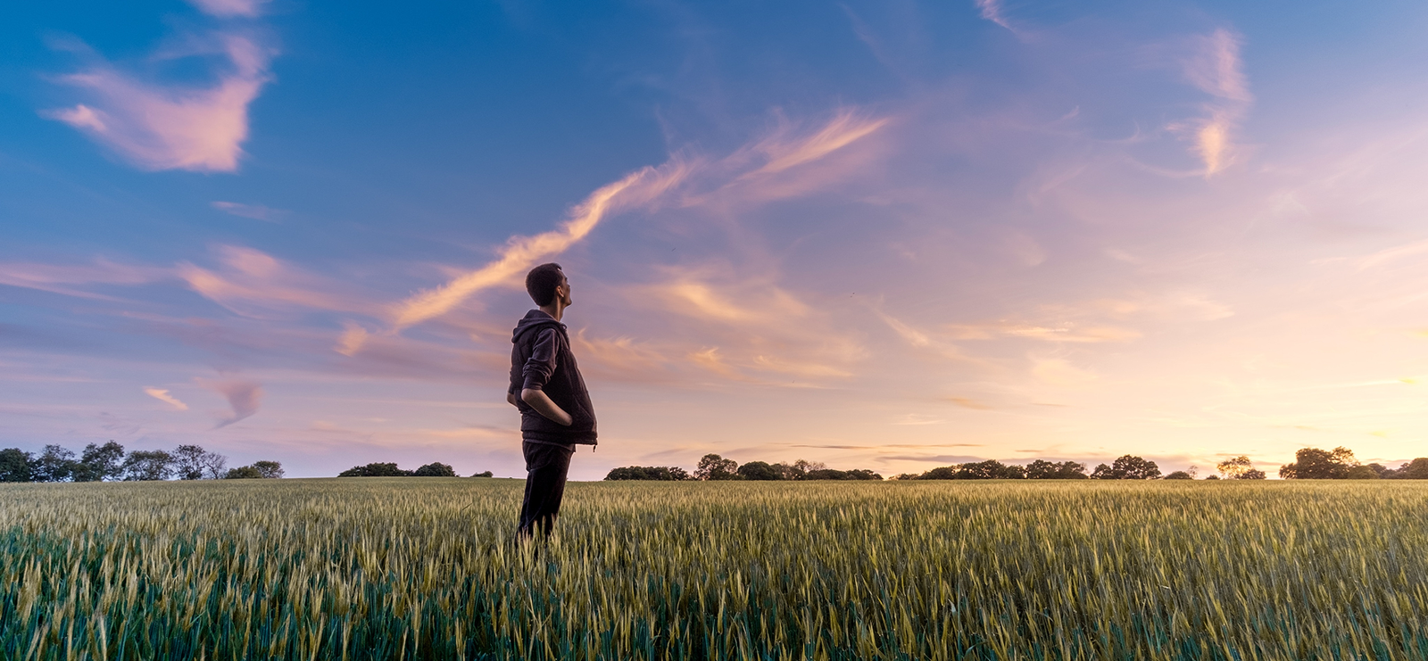 Zylivo Innovations - Navi Mumbai SOFTWARE COMPANY